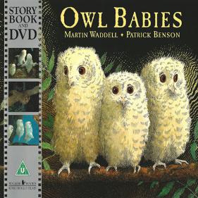 Owl Babies (B+DVD) - 페이퍼북