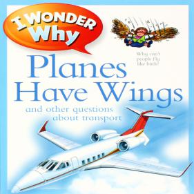 I Wonder Why Planes Have Wings - 페이퍼북