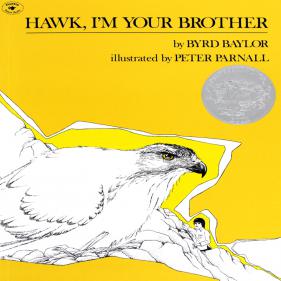 칼데콧 수상작 Hawk, I'm Your Brother - 페이퍼북