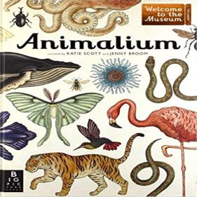 Animalium Welcome to the Museum