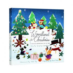 Woodland Christmas: A Festive Wintertime Pop-Up Book - 팝업북