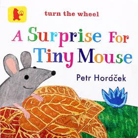 A Surprise For Tiny Mouse - 보드북