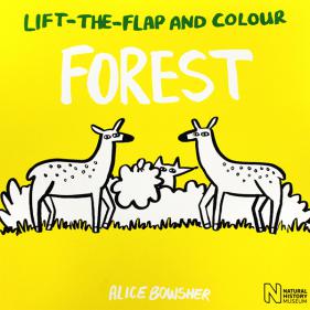 Lift the flap and Colour Forest - 페이퍼북