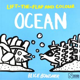 Lift-the-flap and Colour Ocean - 페이퍼북