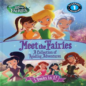 Disney Fairies: Meet the Fairies - 하드커버북