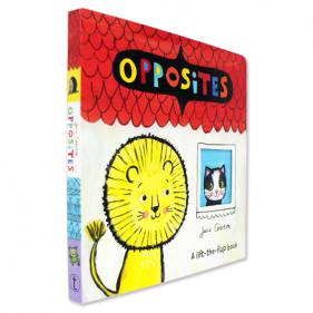 Opposites A Lift-The-Flap Book - 플랩보드북