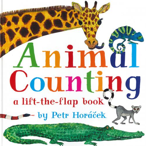Animal Counting - 하드커버북