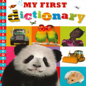 My First dictionary - 페이퍼북