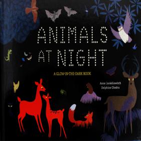 [솔드아웃] Animals At Night A Glow-In-The-Dark-Book - 하드커버북