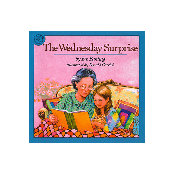 The Wednesday Surprise - 페이퍼북