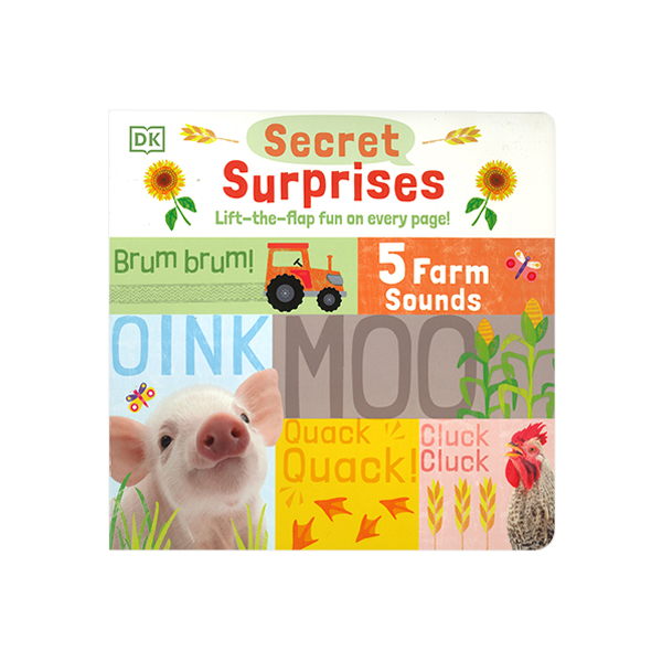 DK Secret Surprises(Lift-the-flap fun on every page!) - 사운드북/보드북