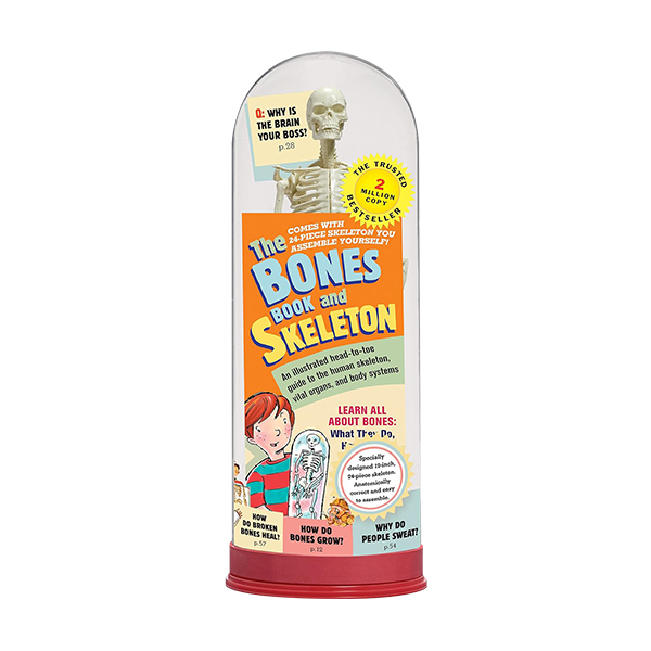 The Bones Book and Skeleton - 교육 키트/페이퍼북