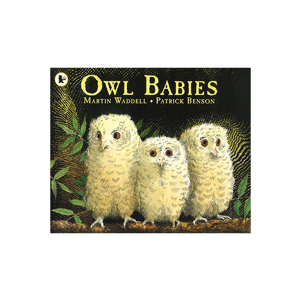 Owl Babies - 페이퍼북