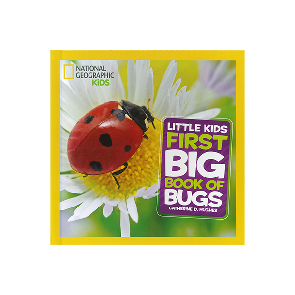 National Geographic Little Kids First Big Book of Bugs  - 논픽션/하드커버북