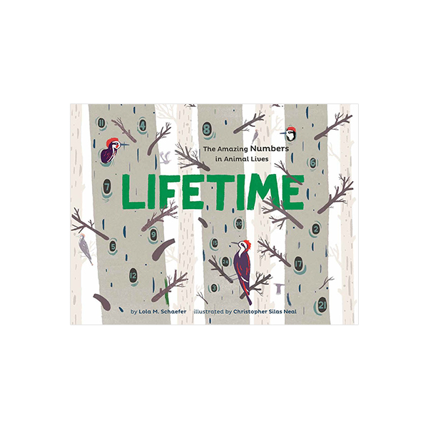 Lifetime : The Amazing Numbers in Animal Lives - 페이퍼북