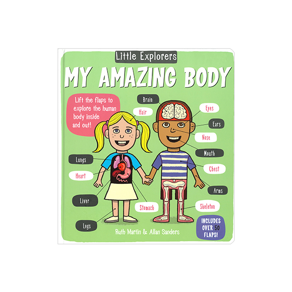 Little Explorers My Amazing Body - 플랩보드북