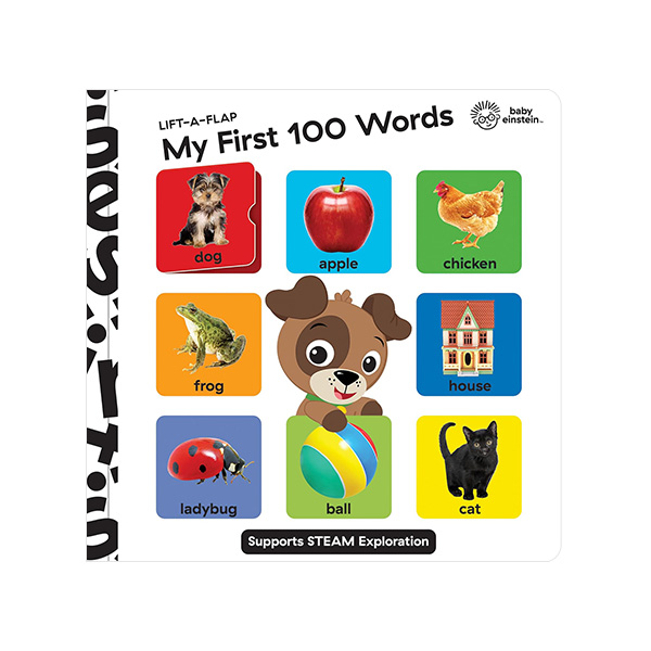 Baby Einstein: Lift-A-Flap My First 100 Words - 플랩북/보드북
