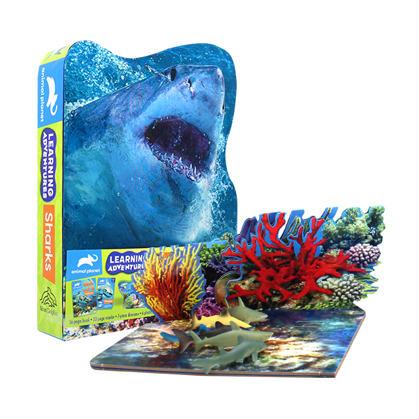 Learning Adventures : Shark  페이퍼북