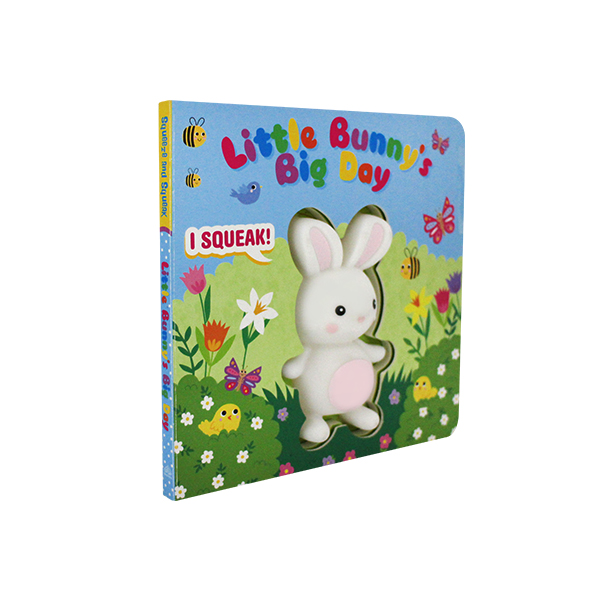 Little Bunnys Big Day (Squeeze & Squeak) - 보드북