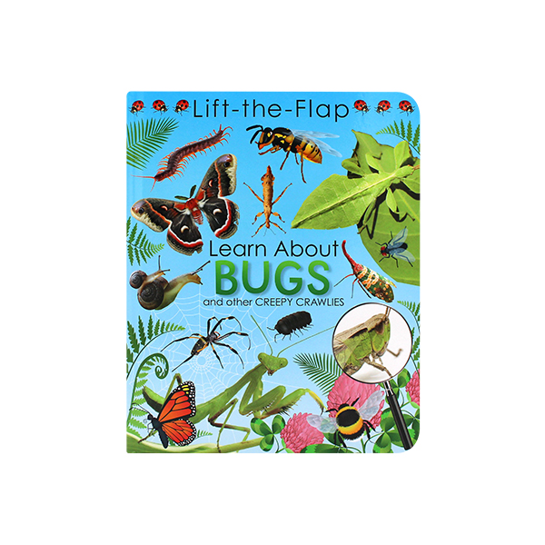 Lift-the-Flap Learn about Bugs and Other Creepy Crawlies - 플랩보드북