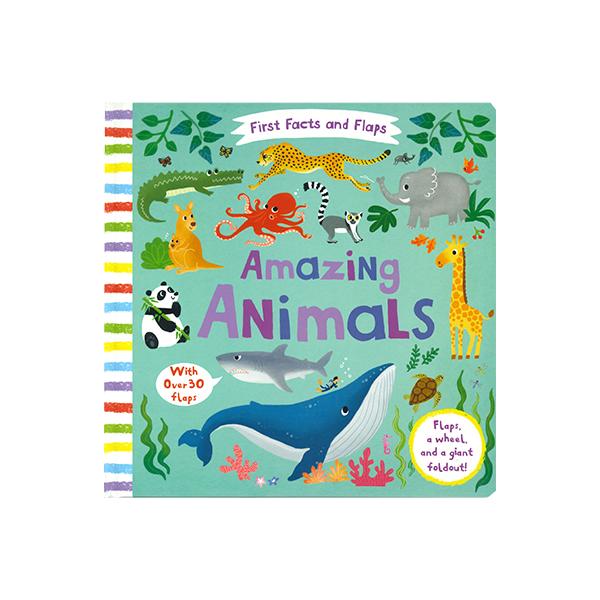 First Facts and Flaps : Amazing Animals - 플랩보드북