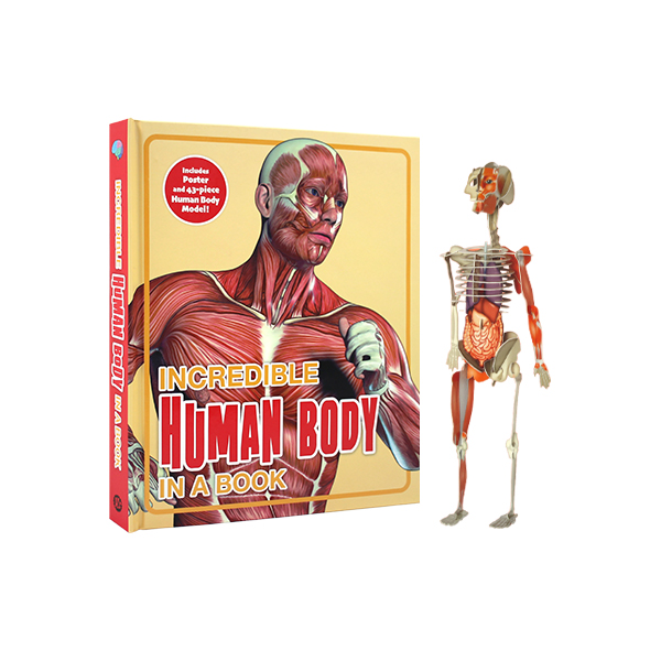 Incredible Human Body in a Book - 하드커버